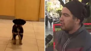 Le robó un perro a un indigente