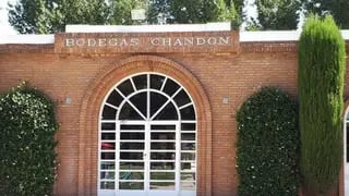 Una importante casa de vinos ofrece empleo en Mendoza: cuáles son los requisitos y cómo aplicar