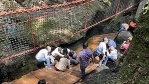 Se cayó un puente colgante en México