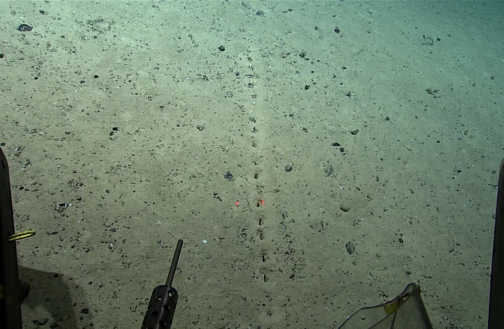 Científicos estadounidenses descubrieron unos misteriosos agujeros en el fondo del océano Atlántico.