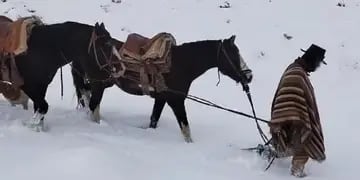 Rescataron a un baqueano que había quedado atrapado junto a su caballo en Alta Montaña
