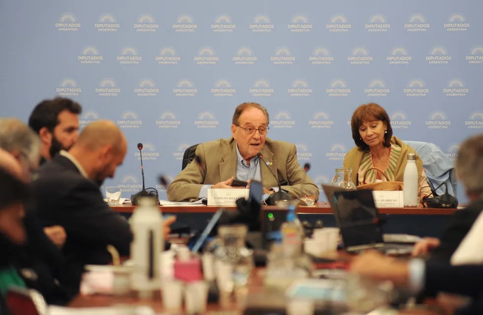 Carlos Heller, presidente de la Comisión de Presupuesto, en el debate de este miércoles (Foto: Federico López Claro)