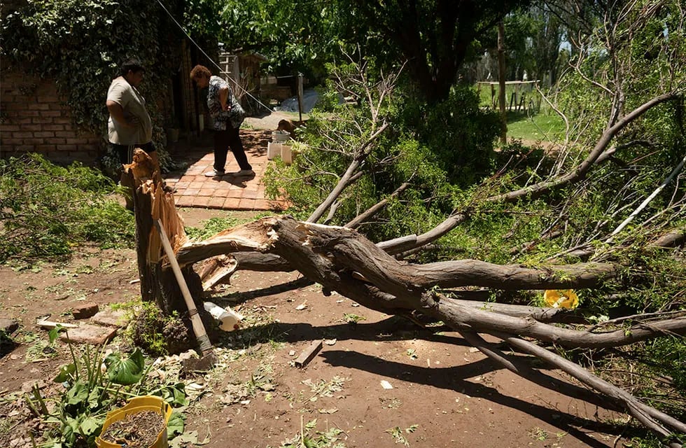 Fuertes vientos y caída de granizo sobre viviendas y terrenos cultivados 
La tormenta de ayer afectó unas 17 mil hectáreas productivas de Lavalle y zona Este