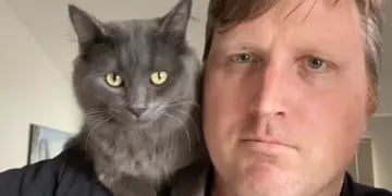 Hombre habla el idioma de los gatos
