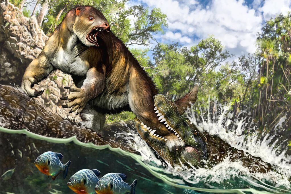 Reconstrucción. Caimán gigante “Purussaurus” atacando a un perezoso en lo que hoy es la Amazonia peruana.