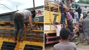 Saquearon y faenaron vacas de un camión chocado por un tren en Santiago del Estero