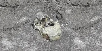 Un grupo de niños que jugaban en la playa encontró un cráneo enterrado