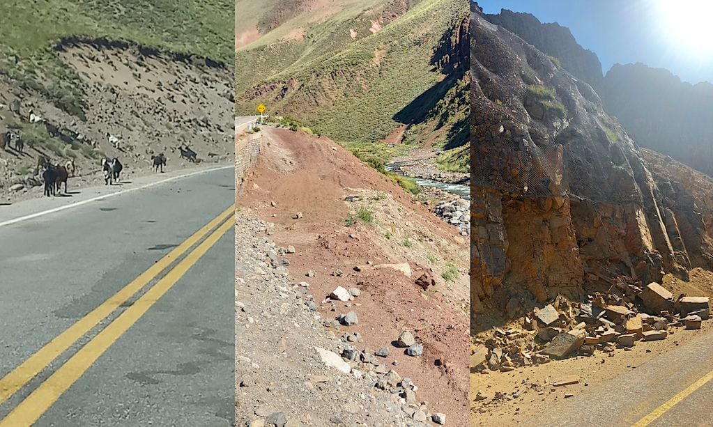 Un estudio binacional analizó los escenarios de riesgo en Paso Pehuenche en el sur de Mendoza. Foto: Gentileza