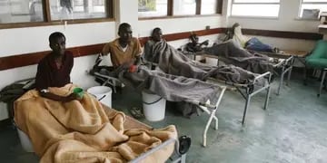 Brote de cólera en Nigeria