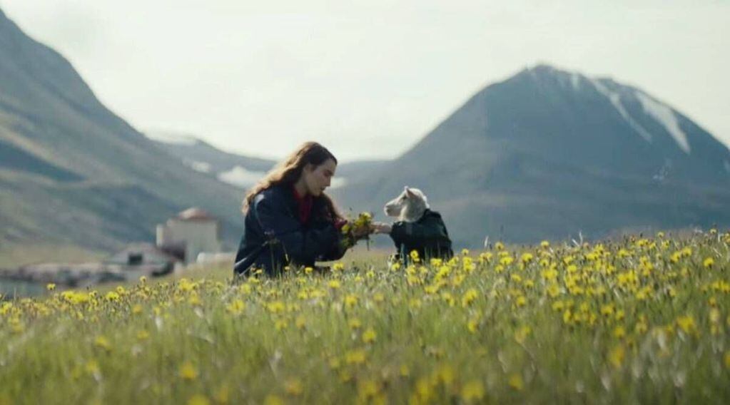 Situada en la Islandia rural, la película sigue a una pareja sin hijos que hace un descubrimiento alarmante en su establo de ovejas.