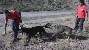 La mendocina y su perra Ruca participaron de la búsqueda del cuerpo de una mujer en el lago Potrerillos y en el terremoto de Chile de 2010. 