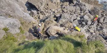 Con la ayuda de un helicóptero rescataron a una vaca que había caído por un acantilado