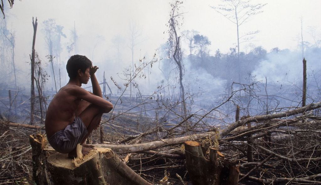 La deforestación y el extractivismo están llevando a la región a su punto de no retorno.