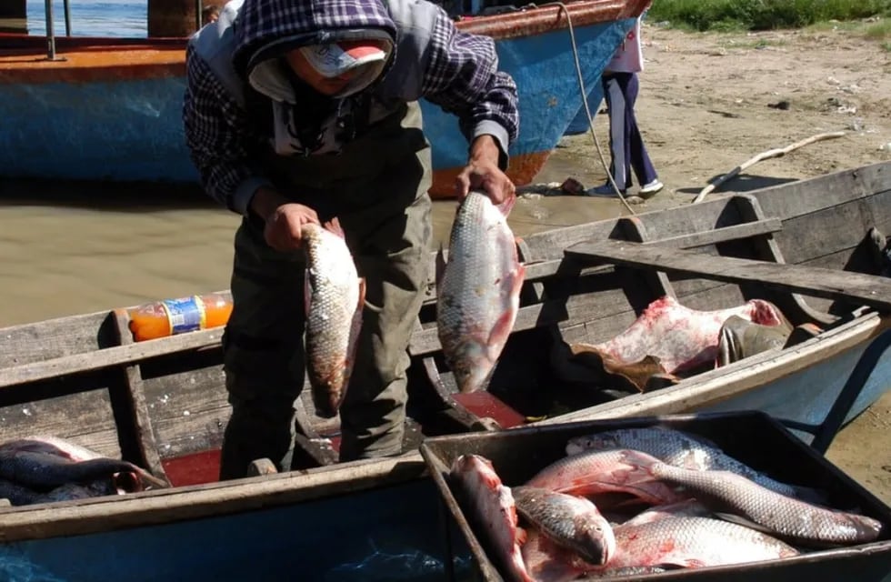 Pesca de sábalos en río Salado