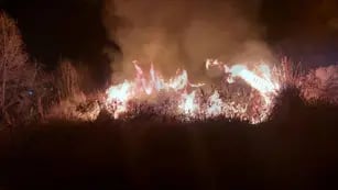 Incendios en San Carlos