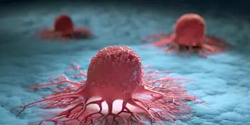 Investigación sobre células cancerosas