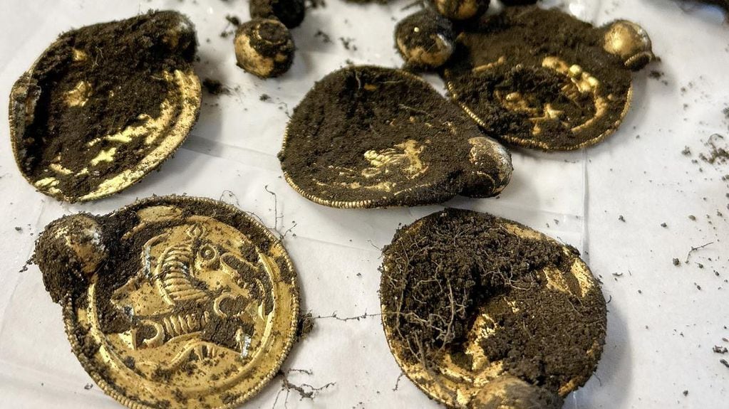 El tesoro incluye nueve medallones y perlas de oro que una vez formaron un lujoso collar, así como tres anillos del mismo metal. Foto: Web.
