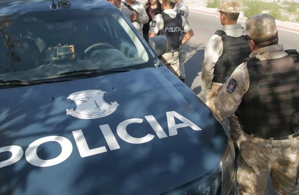 Efectivos de la Policía Rural atraparon a tres cazadores con 44 quirquinchos muertos y tres vivos en Pareditas. - Archivo / Los Andes