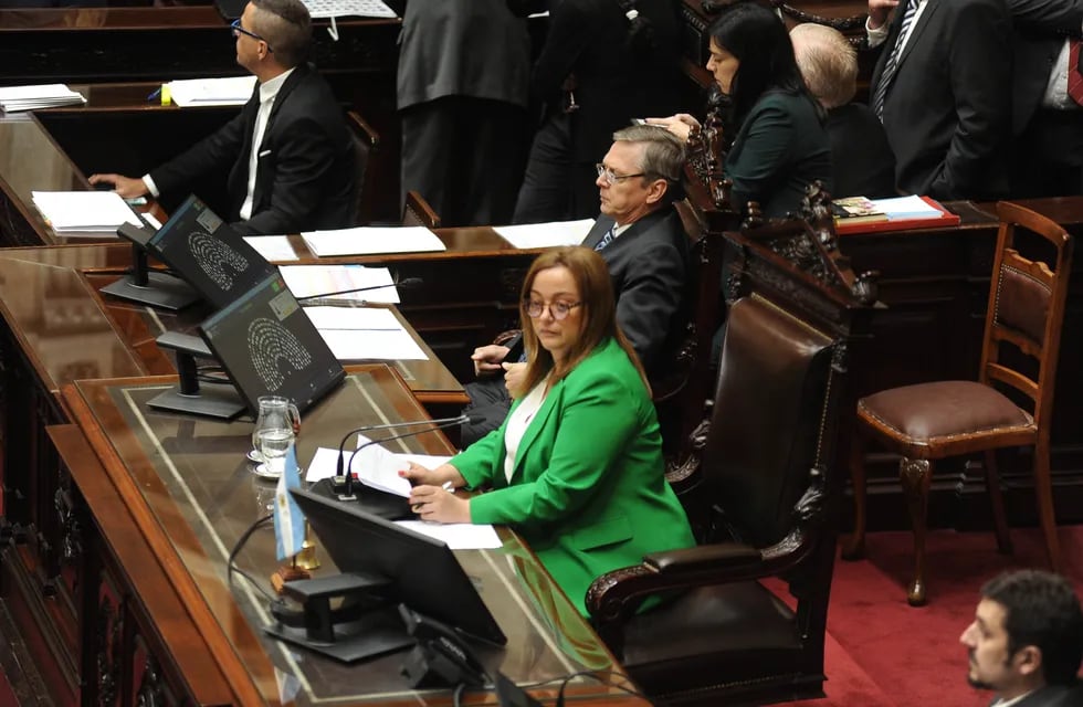 Cecilia Moreau durante la sesión en la Cámara de Diputados por el Presupuesto 2023 - Foto Federico López Claro
