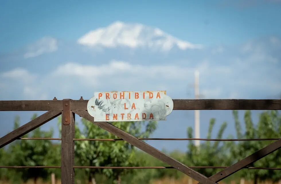 Los productores no encuentra soluciones a la creciente inseguridad en las fincas de Mendoza. - Foto: Ignacio Blanco / Los Andes