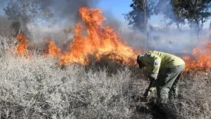 Altas temperaturas: el gobernador Suárez pidió  extremar cuidados para evitar incendios forestales