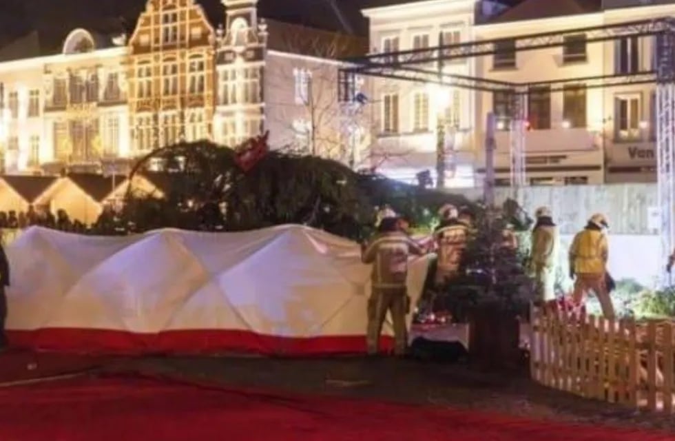 Un enorme árbol de Navidad de 20 metros cayó sobre una mujer que luego perdió la vida. Gentileza: Aristegui Noticias.