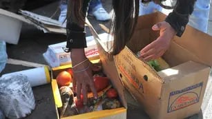En el Mercado Norte se tiran verduras, frutas y restos de pollo en contenedores. Los vecinos conocen la hora en que los puesteros se deshacen de los desechos y luego los rescatan de la basura (La Voz/Sergio Cejas). 