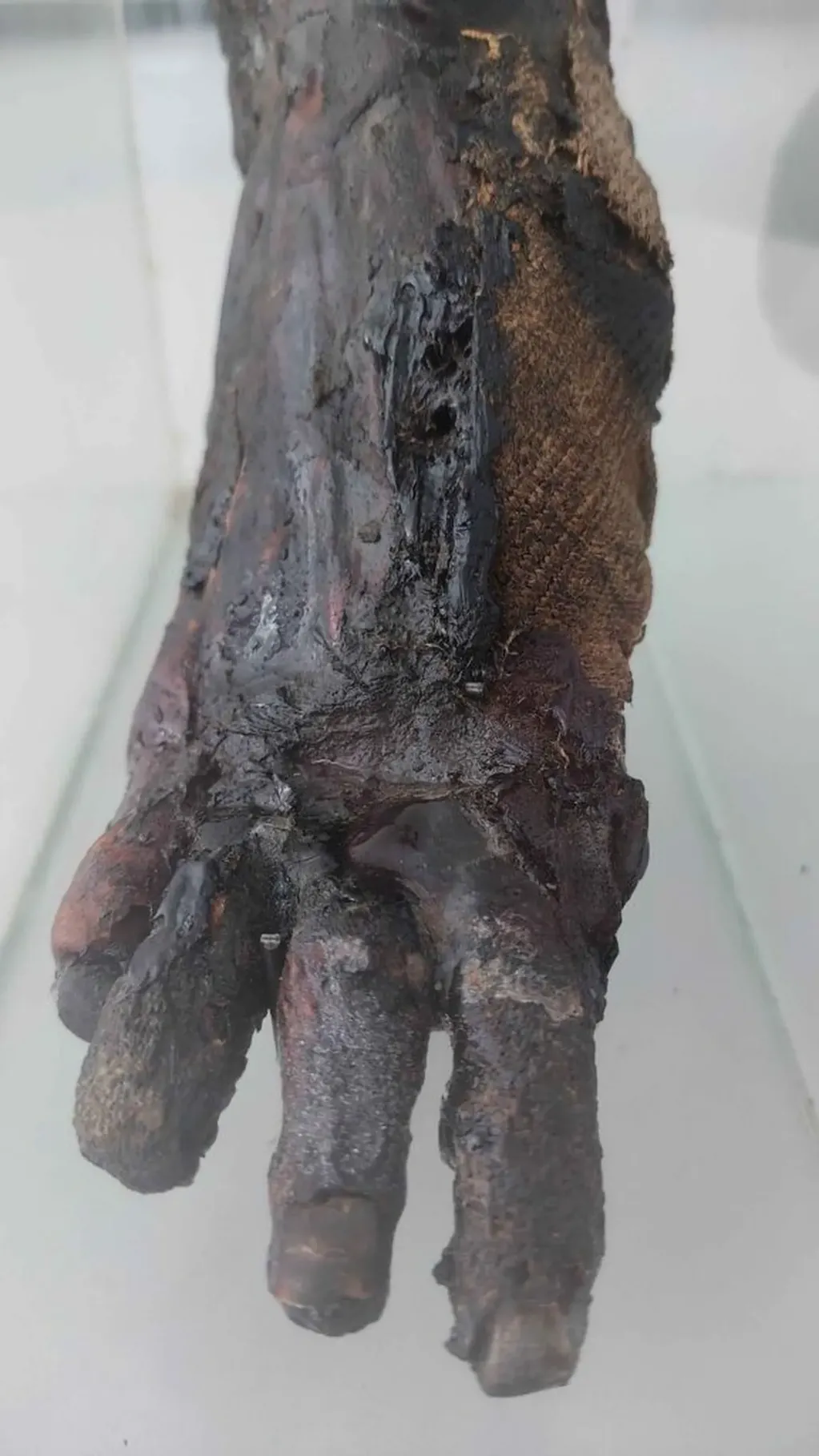 La imagen de un pie momificado de una persona del Antiguo Egipto se vendía por eBay. Foto: Web