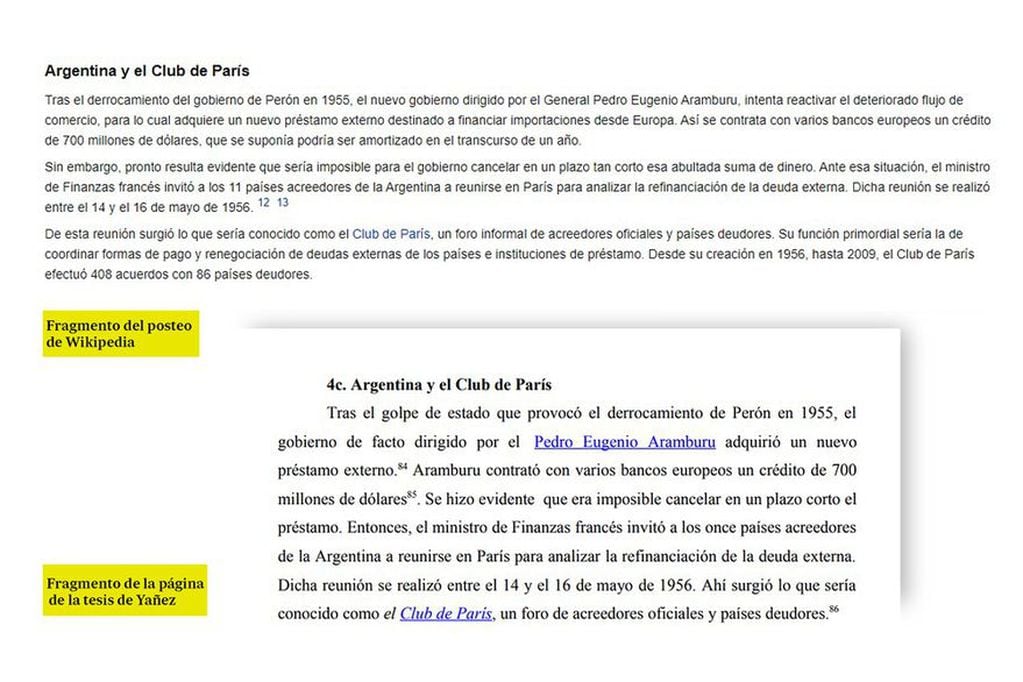 La Tesis de Yañez y las publicaciones en Wikipedia. Gentileza /La Nación.