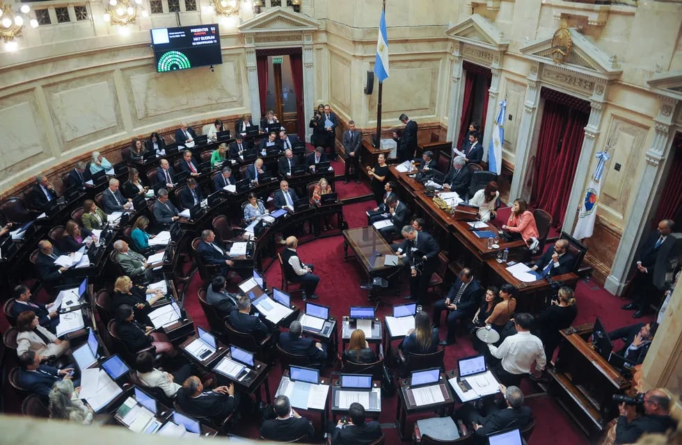 Con el aval de Cristina Kirchner y Massa, los diputados y senadores se aumentaron el sueldo. Foto: Federico Lopez Claro