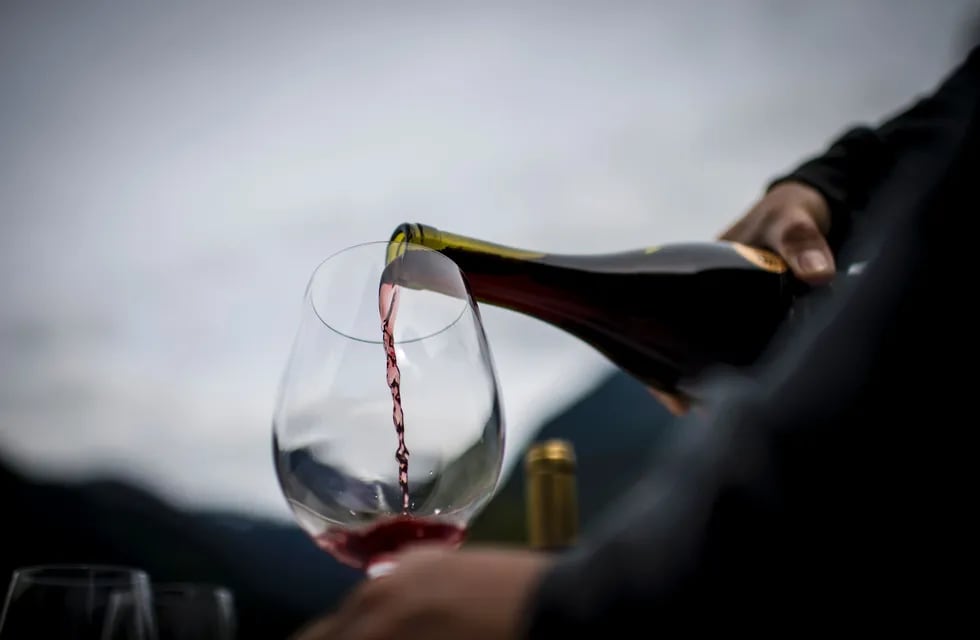 Aprueban en Argentina los vinos sin alcohol o con menor graduación alcohólica.