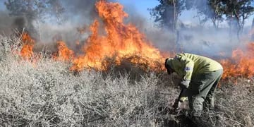 Altas temperaturas: el gobernador Suárez pidió  extremar cuidados para evitar incendios forestales