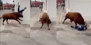 Video: lugar y momento incorrecto. Una joven, distraída por su celular, es embestida por un toro