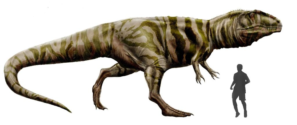El Giganotosaurus carolinii, dinosaurio "argentino" (Durbed)