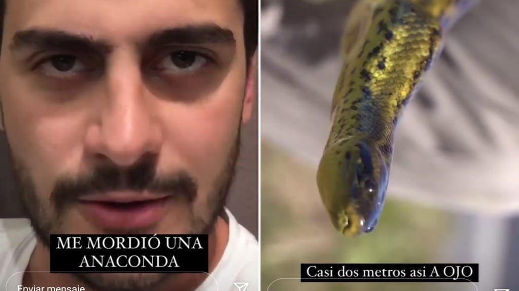 El youtuber Damián Kuc fue atacado por una anaconda.