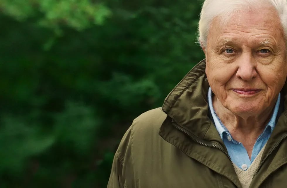 A sus 94 años, el británico David Attenborough estrenó la película sobre su vida con una mirada alentadora sobre el futuro.