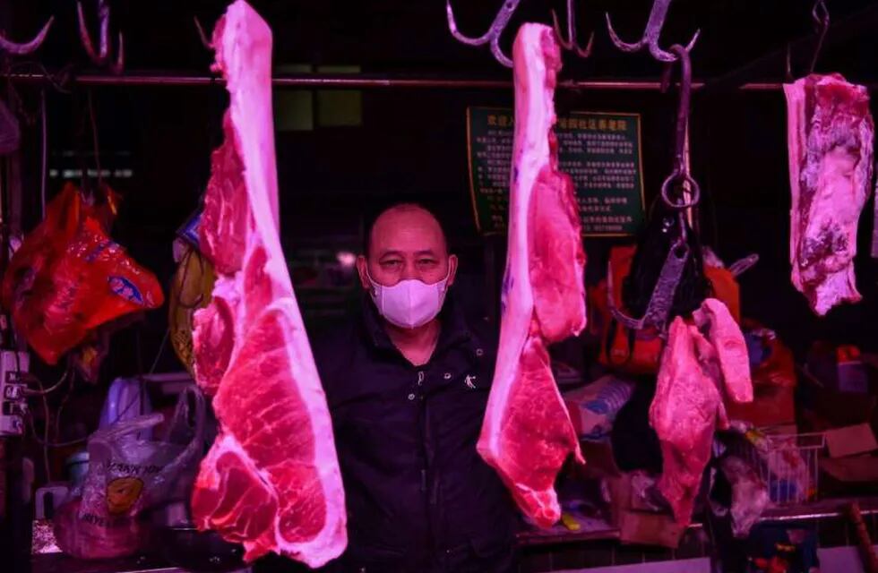 Lobos, ratas y murciélagos: el mercado de Wuhan, el "origen" del coronavirus - Archivo
