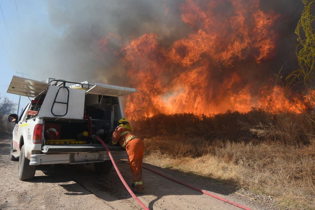 Las llamas alcanzaron una gran altura y quemaron varias hectáreas en zonas de Guaymallén.
