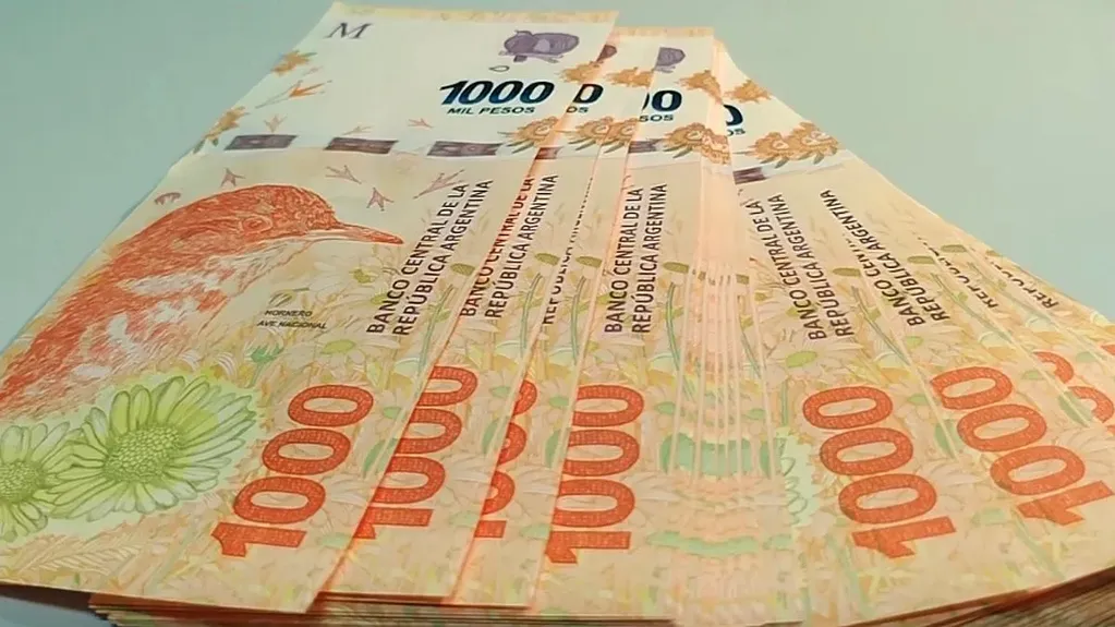El billete actual de 1.000 pesos con el hornero.