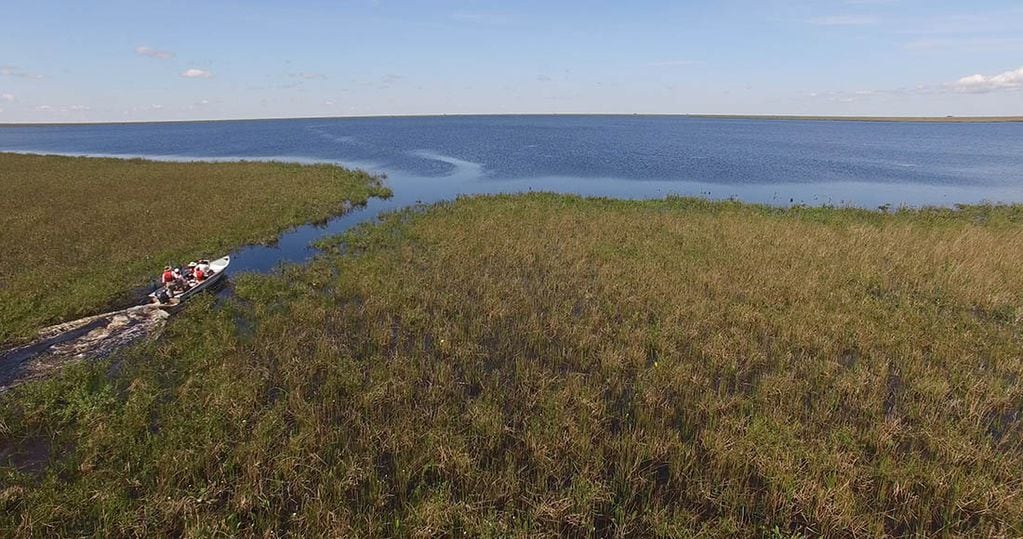Diseñan plan para proteger los humedales como los Esteros del Iberá en Corrientes.