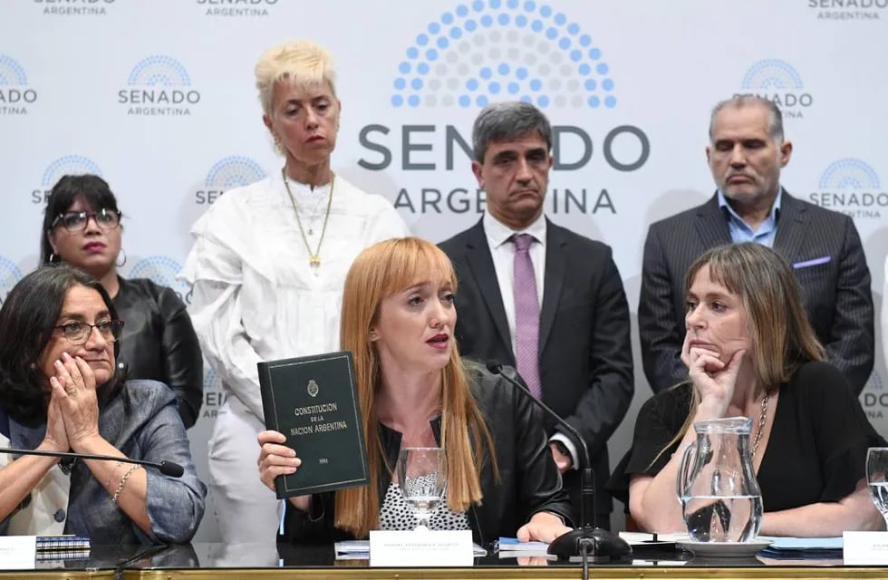 La senadora Anabel Fernández Sagasti es la autora del proyecto (Foto: Comunicación Senado)