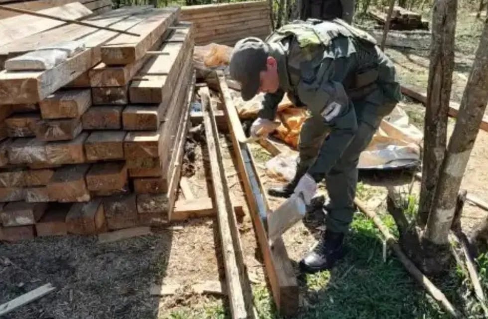 Secuestraron más de 2 toneladas de marihuana en el interior de falsas vigas de madera en Misiones. Foto: Barranqueras Online.