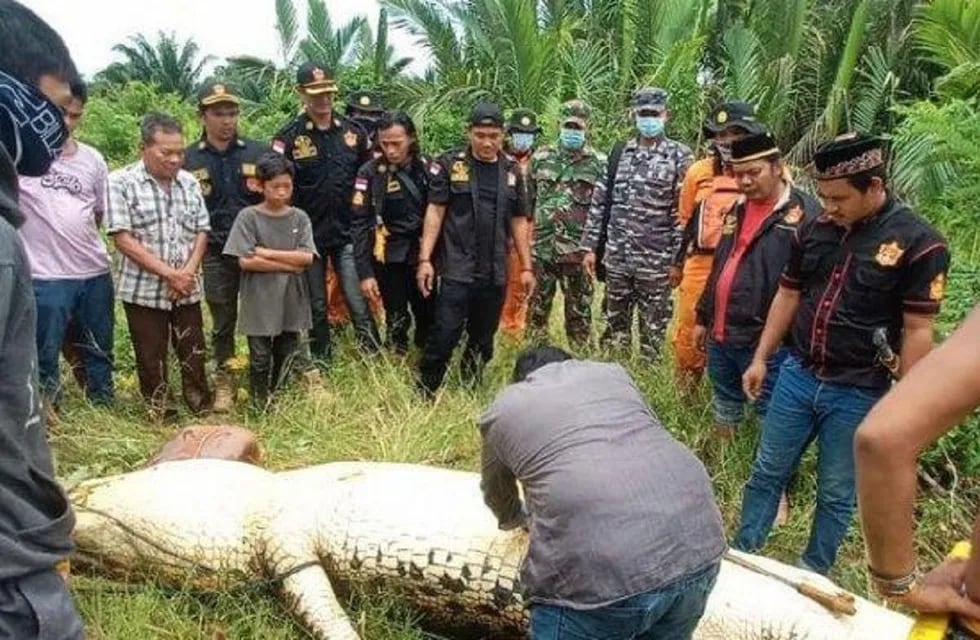 Los vecinos mataron al cocodrilo y lo abrieron para extraer el cuerpo del niño - Foto: Tribun