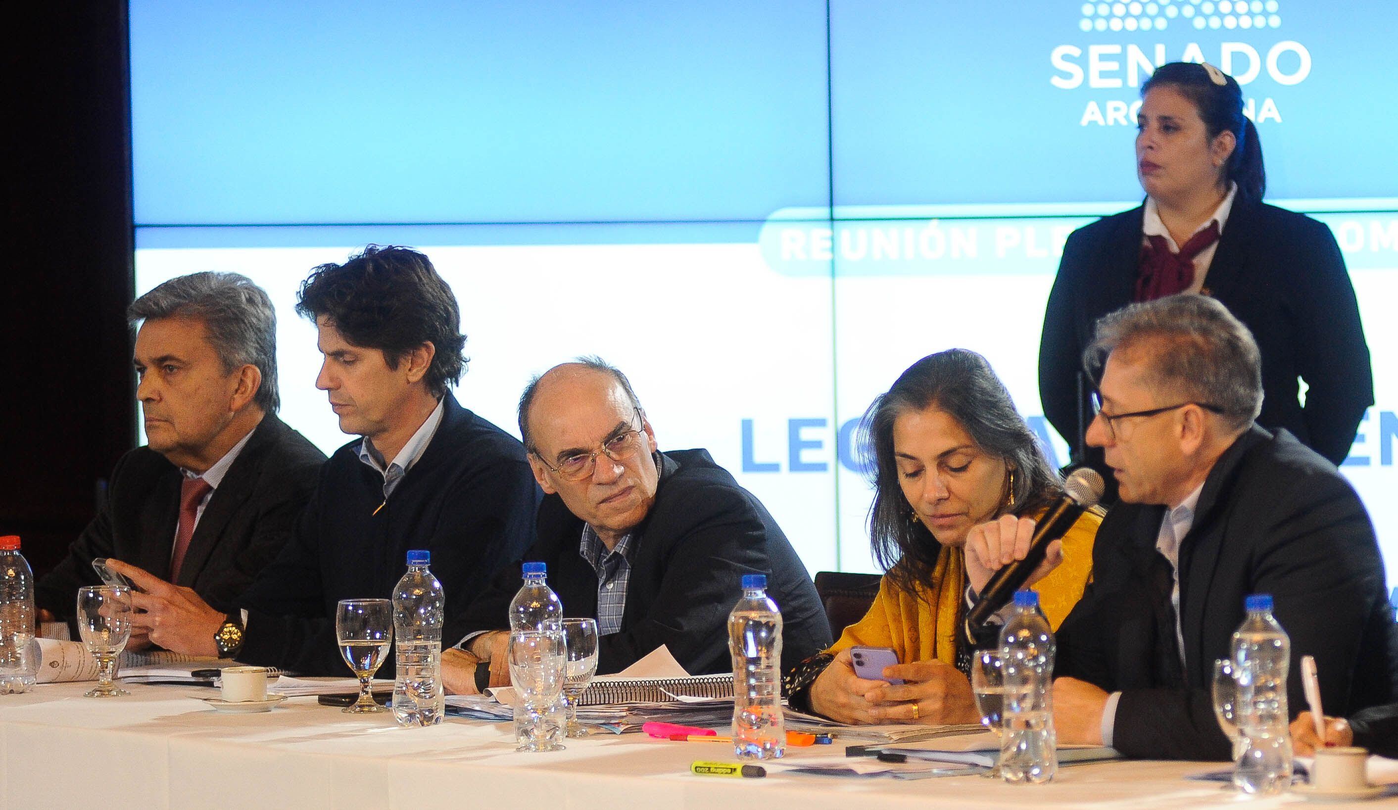 Senadores de la UCR y Lucila Crexell (Neuquén) plantearon cambios a la "ley bases" (Foto: Federico López Claro)