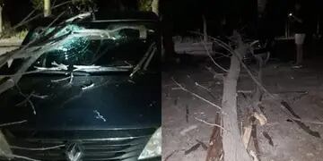 La rama de un árbol cayó sobre un auto en Tunuyán