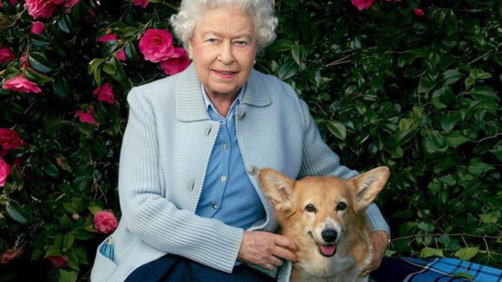 La Reina Isabel II tenía un gran amor hacia los perros
