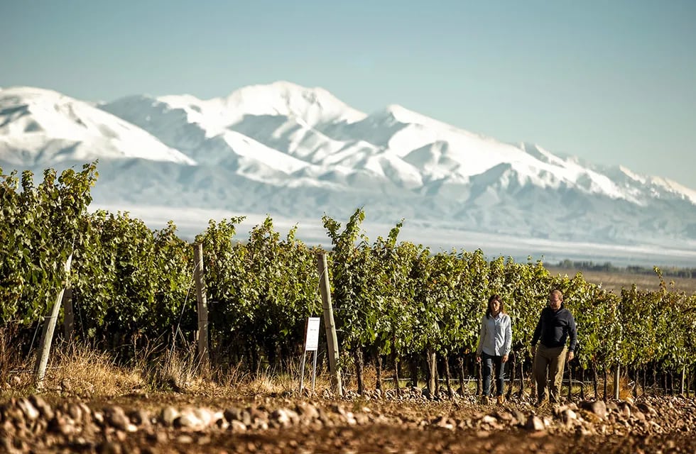 Los caminos del vino en Mendoza
