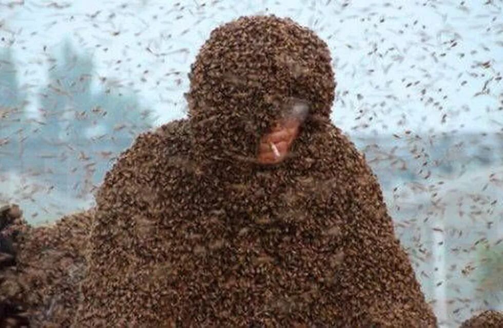 Soportó un millón de abejas en el cuerpo para batir el récord mundial