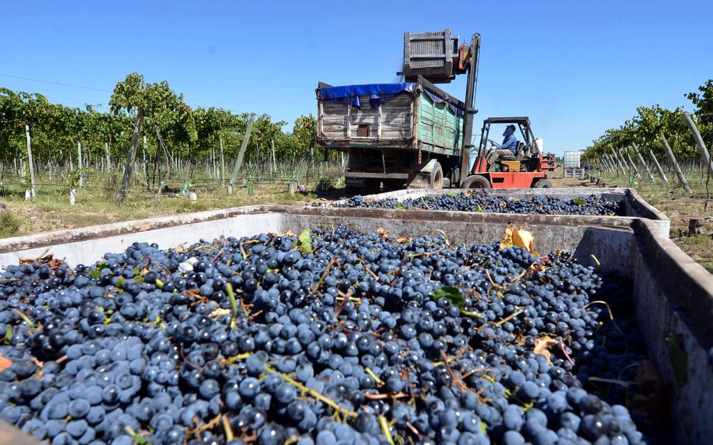 Mendoza solicita que "se aplique la tasa 0% para los Derechos de Exportación de los productos de la industria vitivinícola correspondientes al vino y al jugo concentrado de uva”.