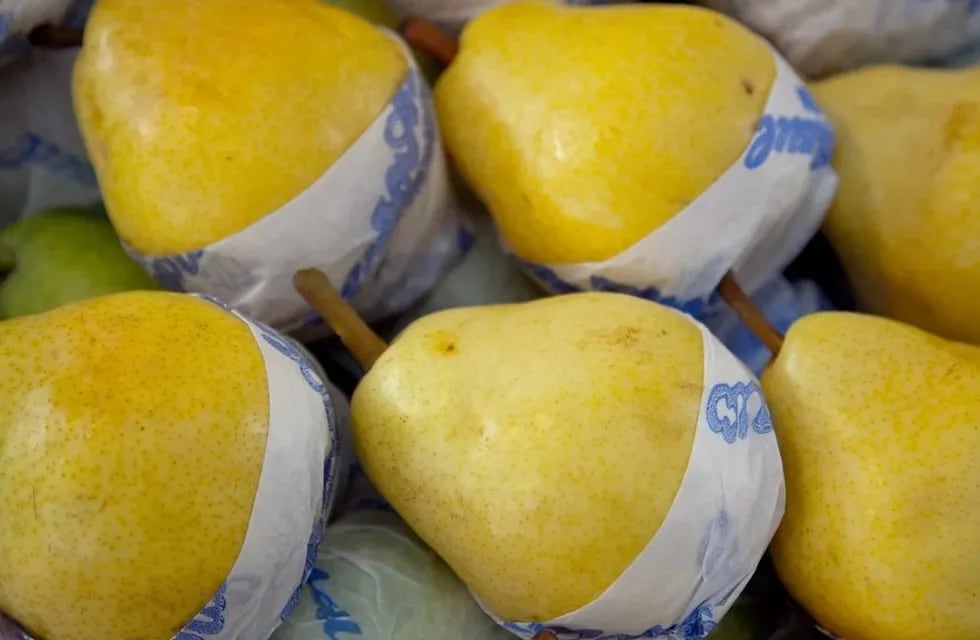 Aumentaron las ventas de peras y manzanas a Rusia